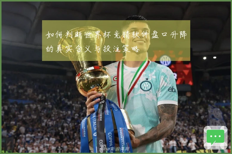 如何判断世界杯竞猜软件盘口升降的真实含义与投注策略
