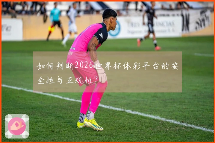 如何判断2026世界杯体彩平台的安全性与正规性？