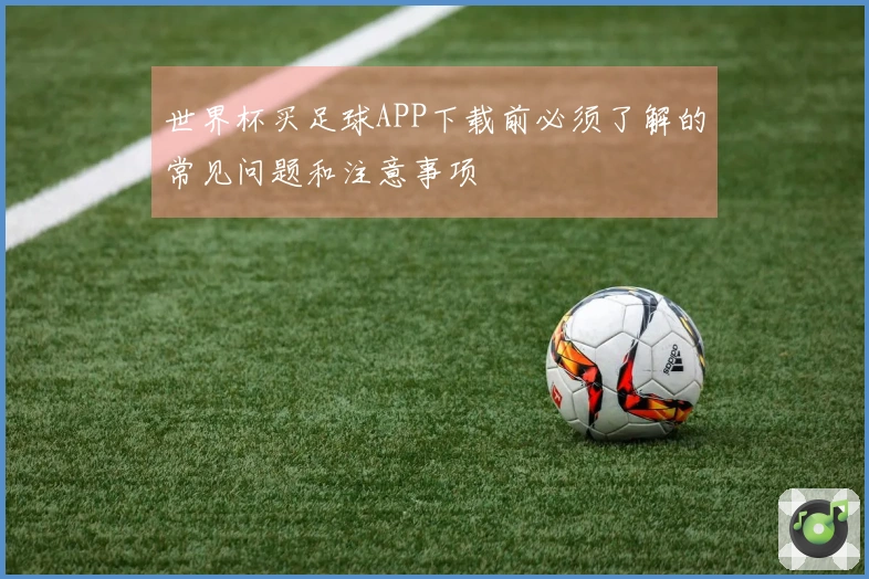世界杯买足球APP下载前必须了解的常见问题和注意事项