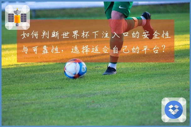 如何判断世界杯下注入口的安全性与可靠性，选择适合自己的平台？