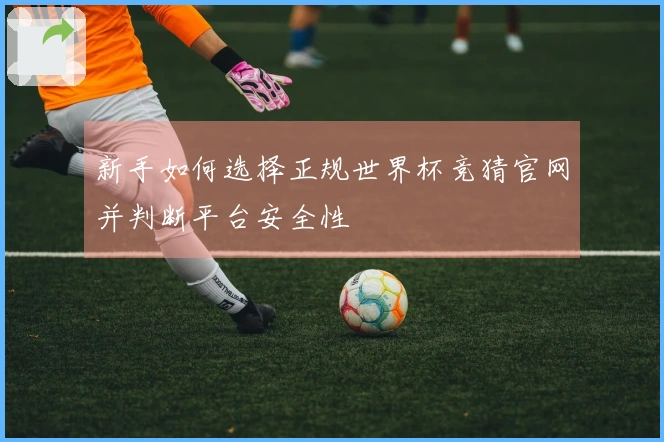 新手如何选择正规世界杯竞猜官网并判断平台安全性