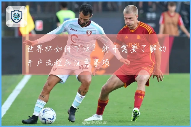 世界杯如何下注？新手需要了解的开户流程和注意事项