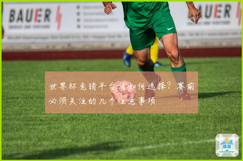 世界杯竞猜平台该如何选择？赛前必须关注的几个注意事项