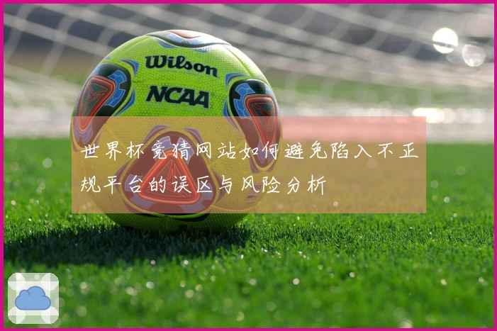 世界杯竞猜网站如何避免陷入不正规平台的误区与风险分析