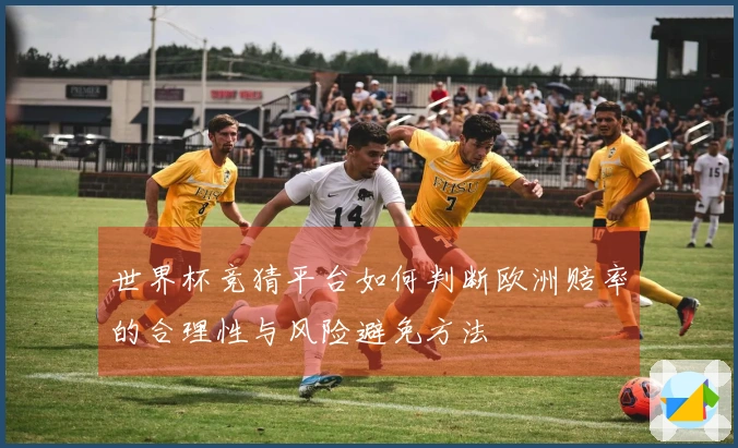 世界杯竞猜平台如何判断欧洲赔率的合理性与风险避免方法