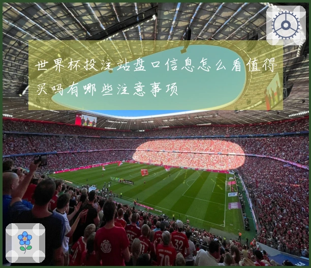 世界杯投注站盘口信息怎么看值得买吗有哪些注意事项