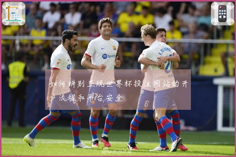 如何辨别正规世界杯投注网站的开户流程和平台安全