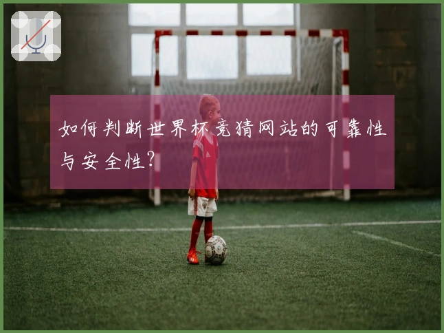如何判断世界杯竞猜网站的可靠性与安全性?