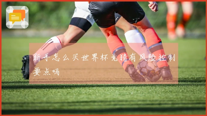 新手怎么买世界杯竞猜有风险控制要点吗