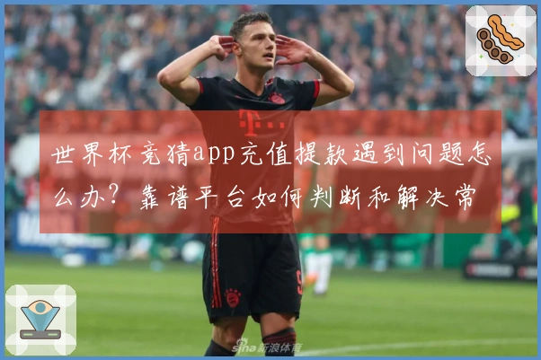 世界杯竞猜app充值提款遇到问题怎么办？靠谱平台如何判断和解决常见疑问