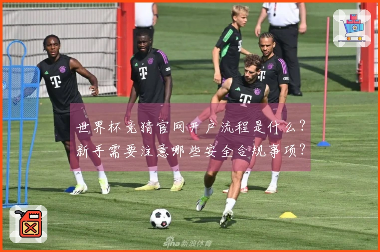 世界杯竞猜官网开户流程是什么？新手需要注意哪些安全合规事项？