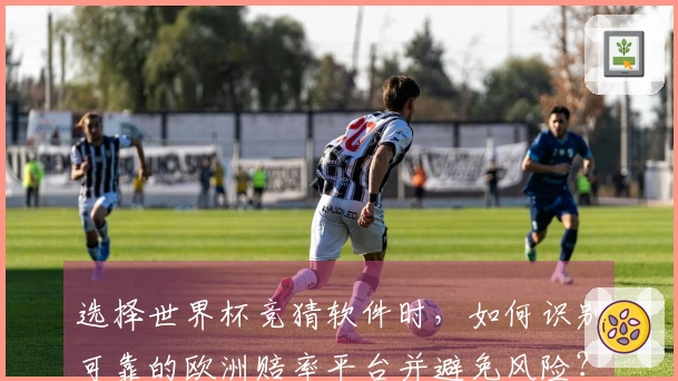 选择世界杯竞猜软件时，如何识别可靠的欧洲赔率平台并避免风险？