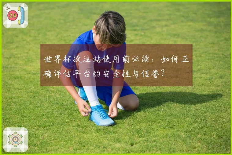 世界杯投注站使用前必读，如何正确评估平台的安全性与信誉？