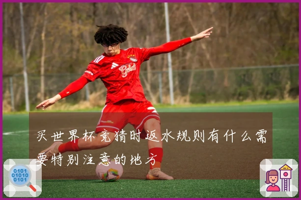 买世界杯竞猜时返水规则有什么需要特别注意的地方