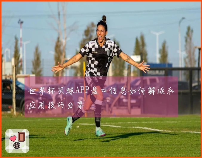 世界杯买球APP盘口信息如何解读和应用技巧分享