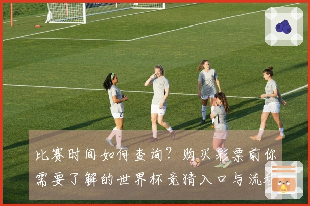比赛时间如何查询？购买彩票前你需要了解的世界杯竞猜入口与流程