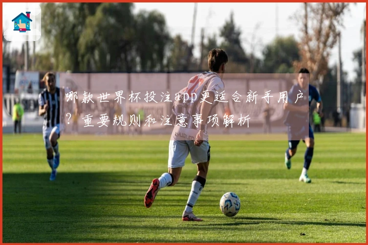 哪款世界杯投注app更适合新手用户？重要规则和注意事项解析