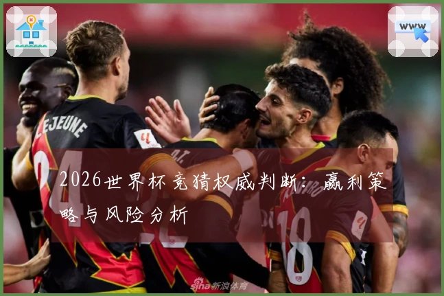 2026世界杯竞猜权威判断：赢利策略与风险分析