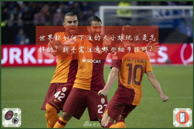 世界杯如何下注的大小球玩法是怎样的？新手需注意哪些细节技巧？