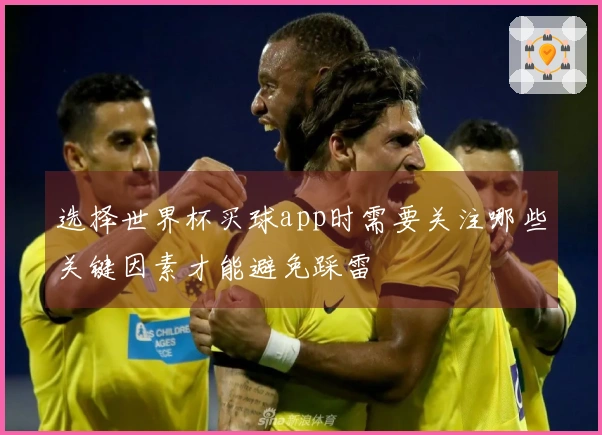 选择世界杯买球app时需要关注哪些关键因素才能避免踩雷