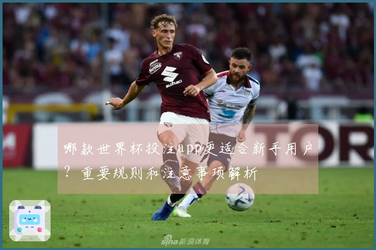哪款世界杯投注app更适合新手用户？重要规则和注意事项解析
