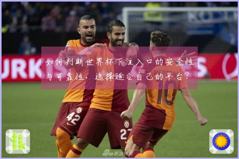 如何判断世界杯下注入口的安全性与可靠性，选择适合自己的平台？