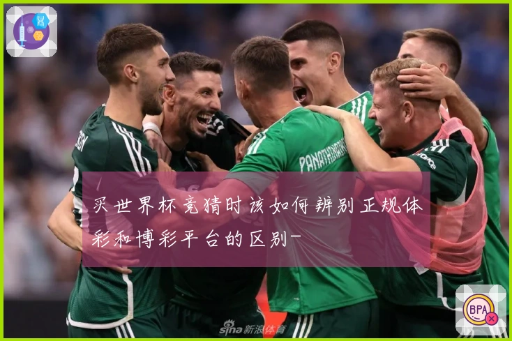 买世界杯竞猜时该如何辨别正规体彩和博彩平台的区别-