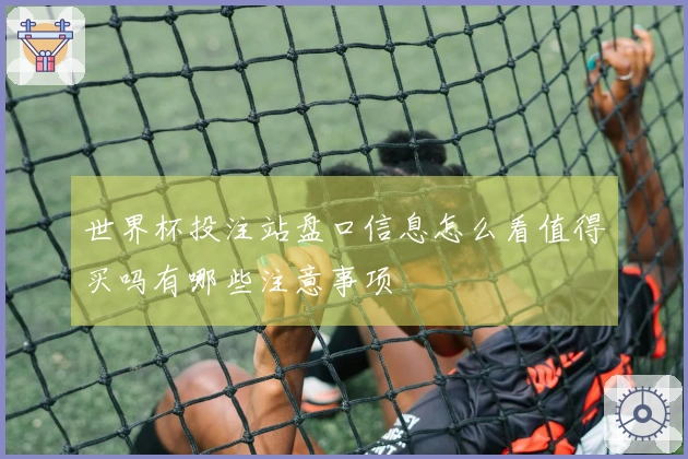 世界杯投注站盘口信息怎么看值得买吗有哪些注意事项