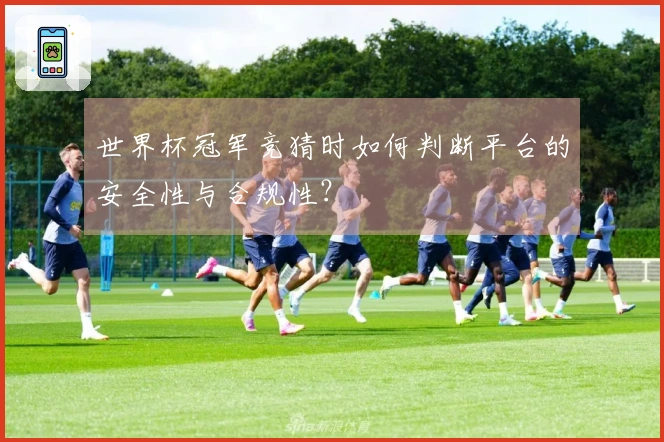 世界杯冠军竞猜时如何判断平台的安全性与合规性？