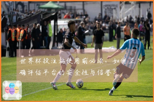世界杯投注站使用前必读，如何正确评估平台的安全性与信誉？